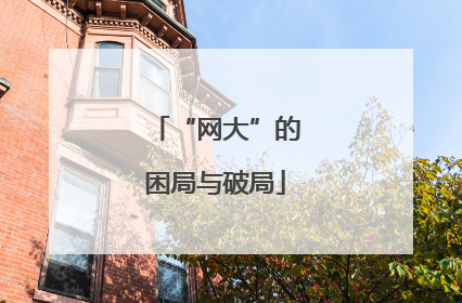 “网大”的困局与破局